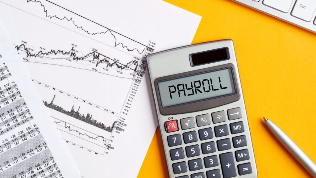 Payroll services Braintree. Payroll company Braintree.