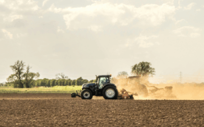 Budget 2025 – reaction from Craig Weavers