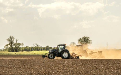 Budget 2025 – reaction from Craig Weavers